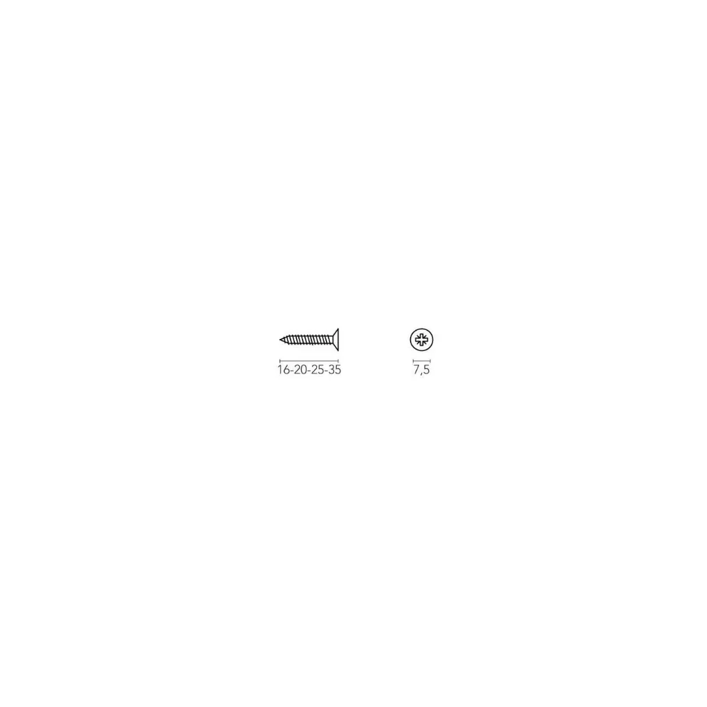 Screw for hinge_TT.webp
