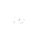 mini T knob.webp