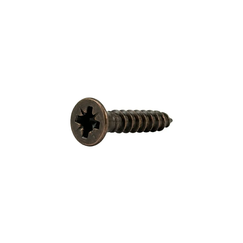 Screw 25 mm for hinge